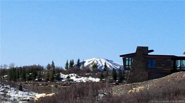 8463 Sunrise Loop - Photo 1