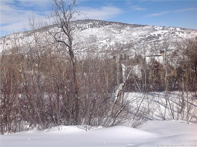 2535 Aspen Springs Drive - Photo 1