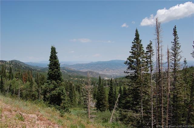 150 White Pine Canyon Road - Photo 1