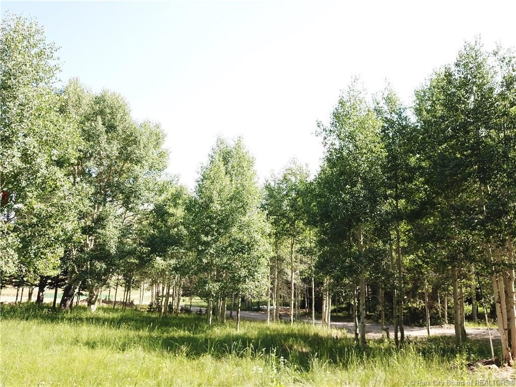 269 White Pine Canyon Road - Photo 1