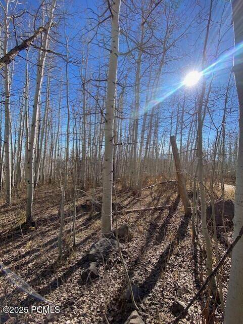 2307 Aspen Ridge Drive - Photo 1