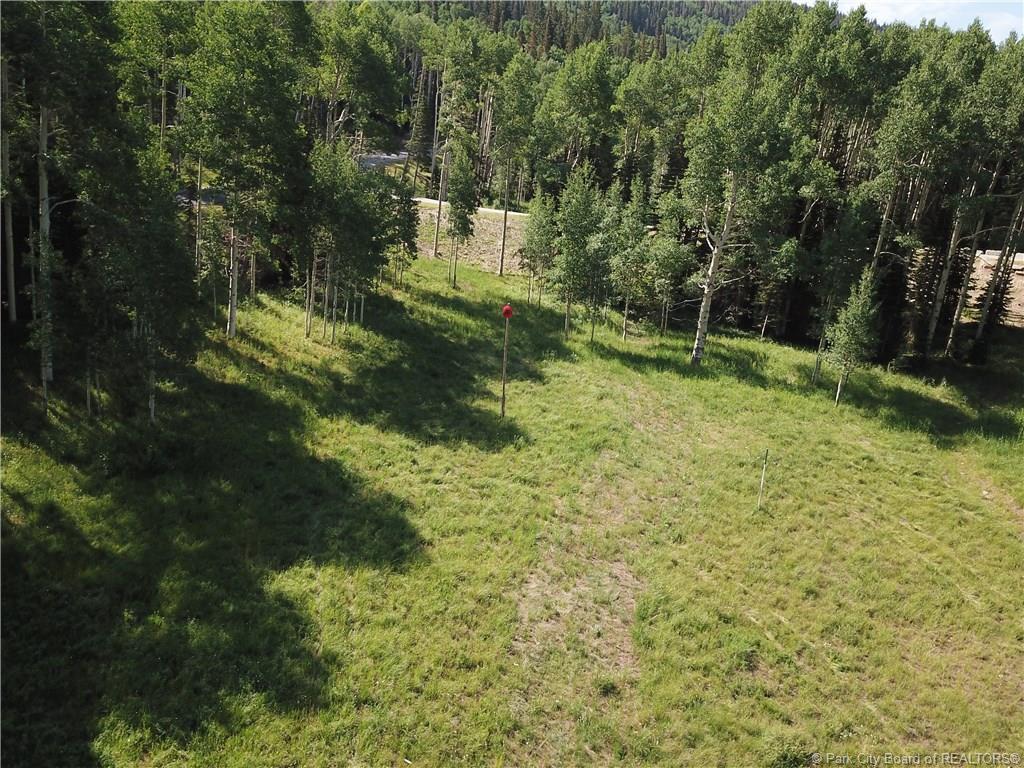 267 White Pine Canyon Road - Photo 1