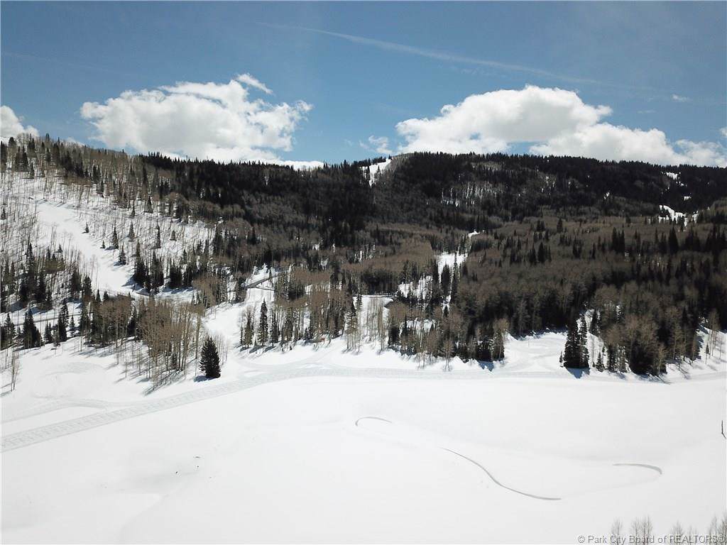 269 White Pine Canyon Road - Photo 1