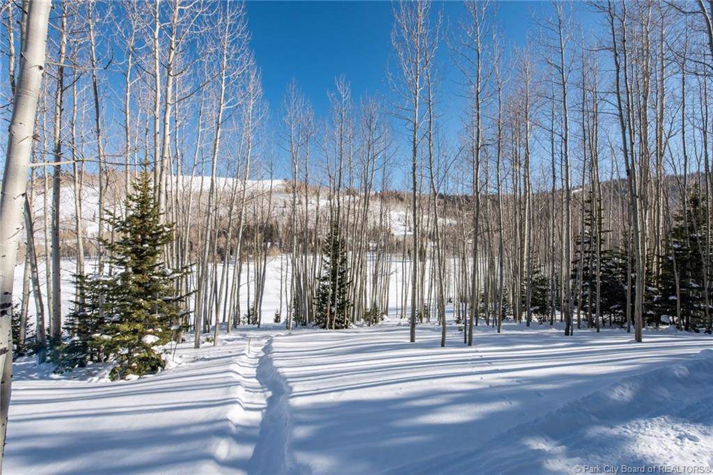 304 White Pine Canyon Road - Photo 1