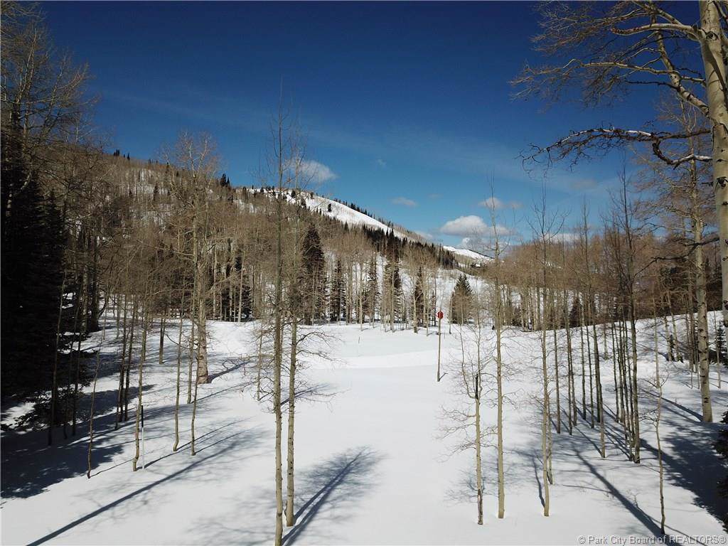 267 White Pine Canyon Road - Photo 1