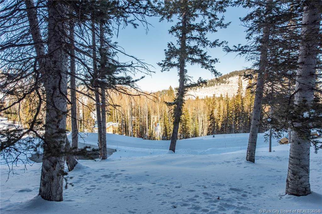 301 White Pine Canyon Road - Photo 1