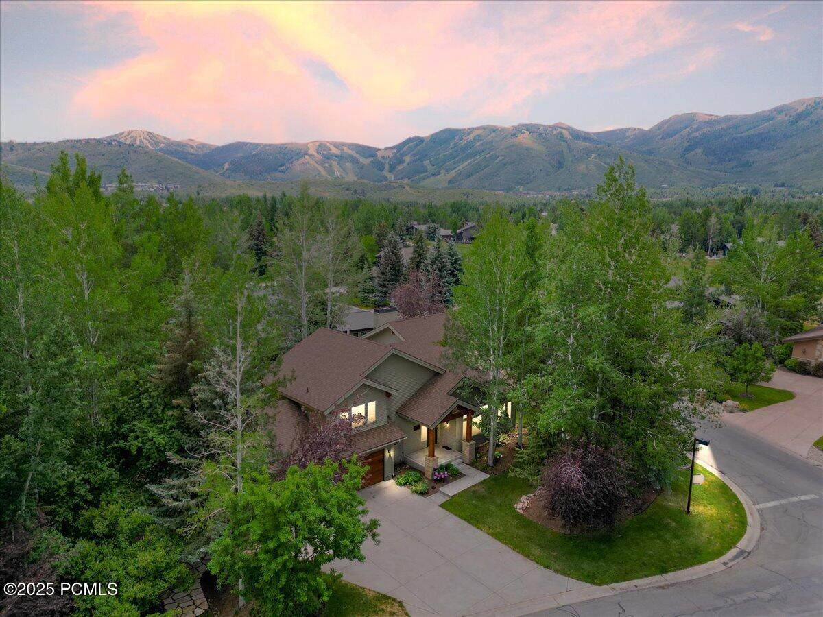 3001 American Saddler Drive - Photo 1
