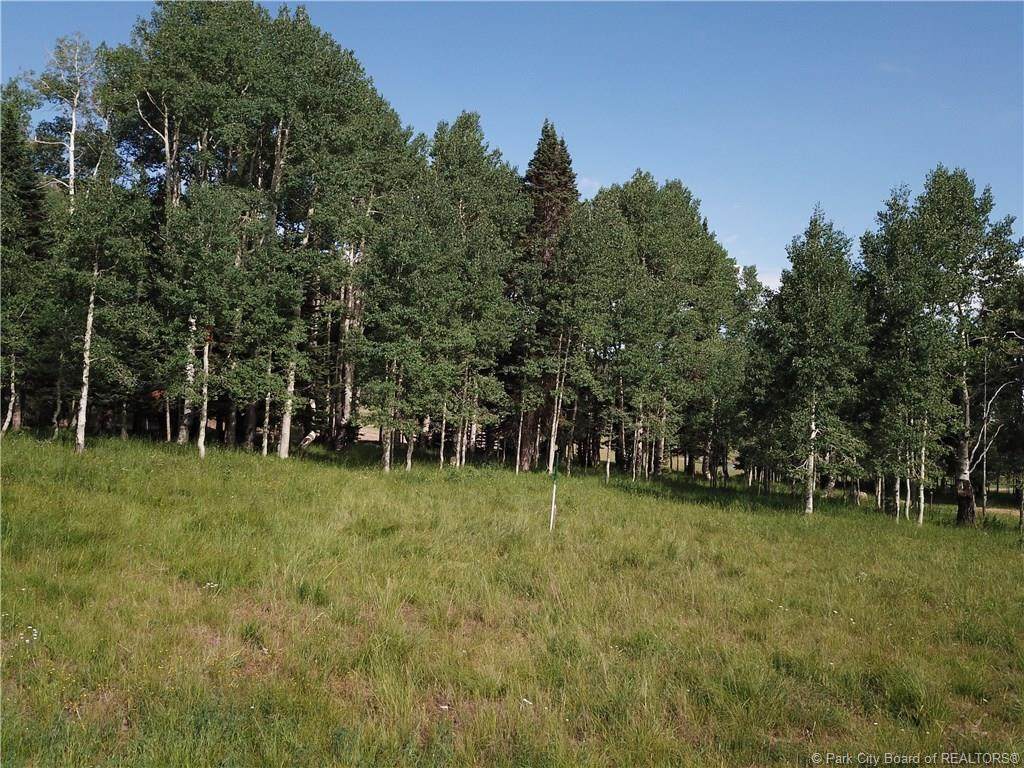 268 White Pine Canyon Road - Photo 1