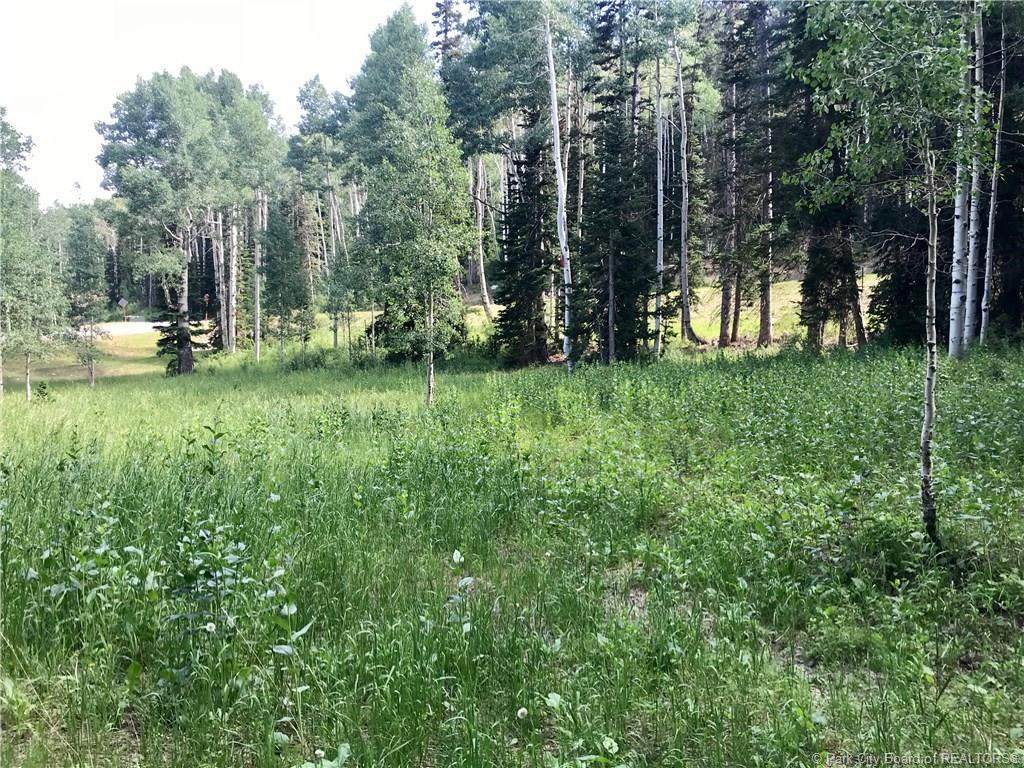273 White Pine Canyon Road - Photo 1 273 White Pine Canyon Road - Photo 1