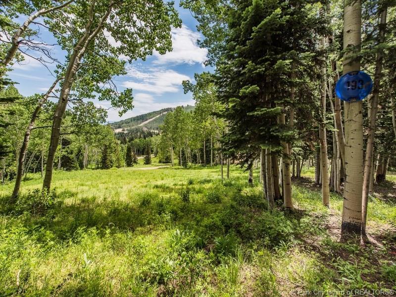 193 White Pine Canyon Road - Photo 1
