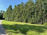 0 Hilt Fornea Rd - Photo 3