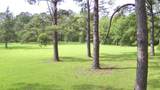 00 Thompson Lane - Photo 21