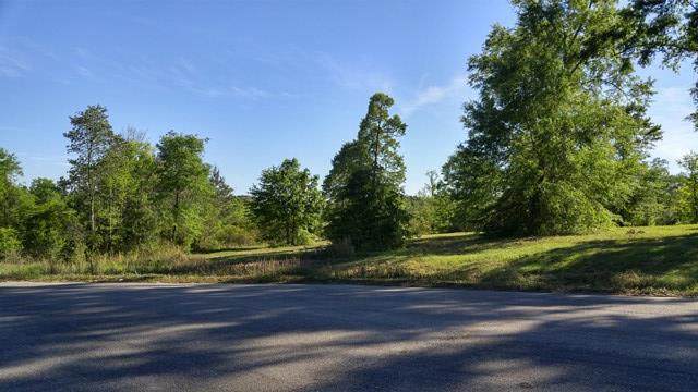 Lot33 Oak Haven Dr - Photo 1
