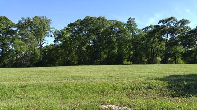 Lot44 Fallen Leaf Dr - Photo 1