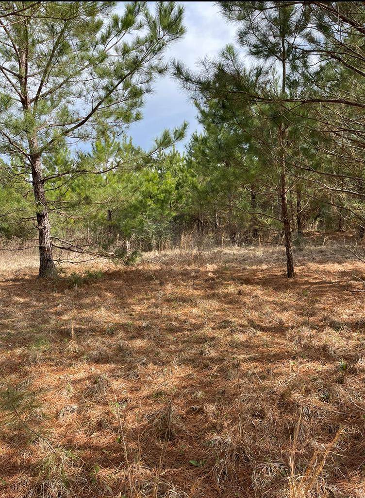 0 Buck Kirkland Rd - Photo 1