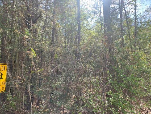 0 Stone Hollow Trc Lot 13 - Photo 1