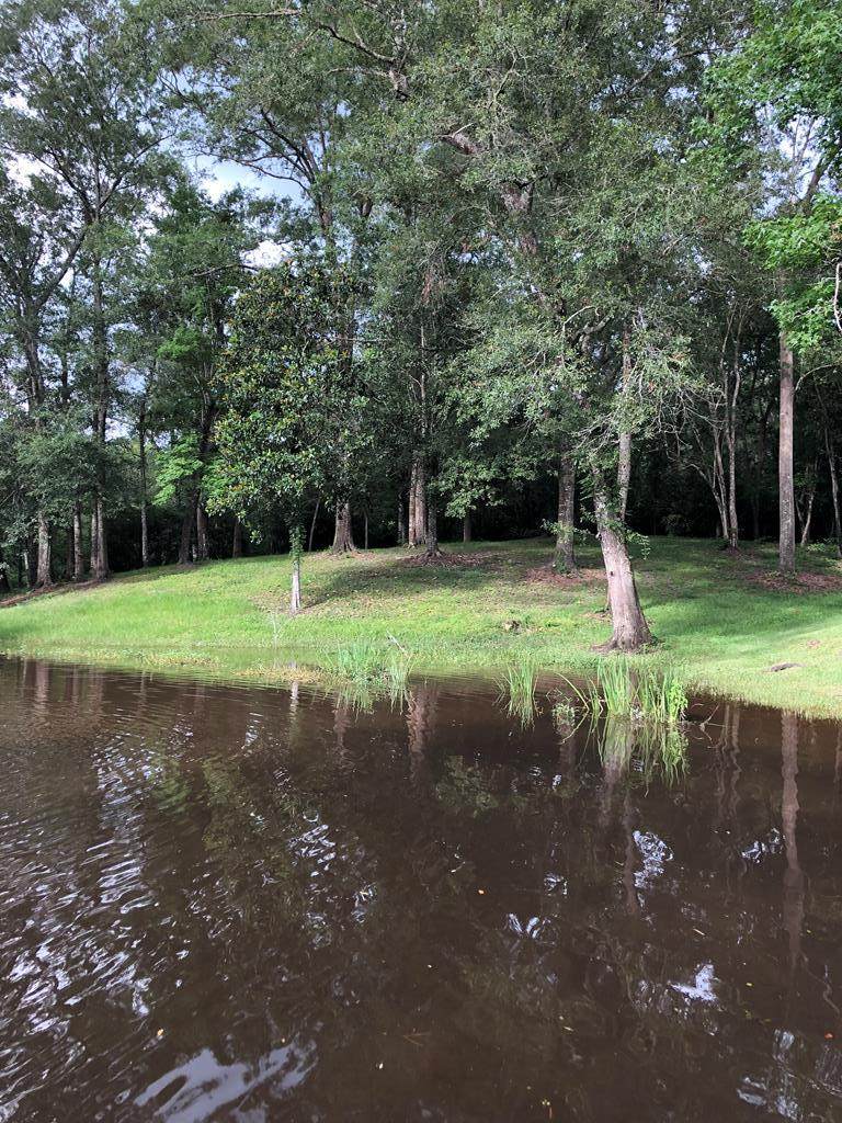 202 Old Pond Road - Photo 1