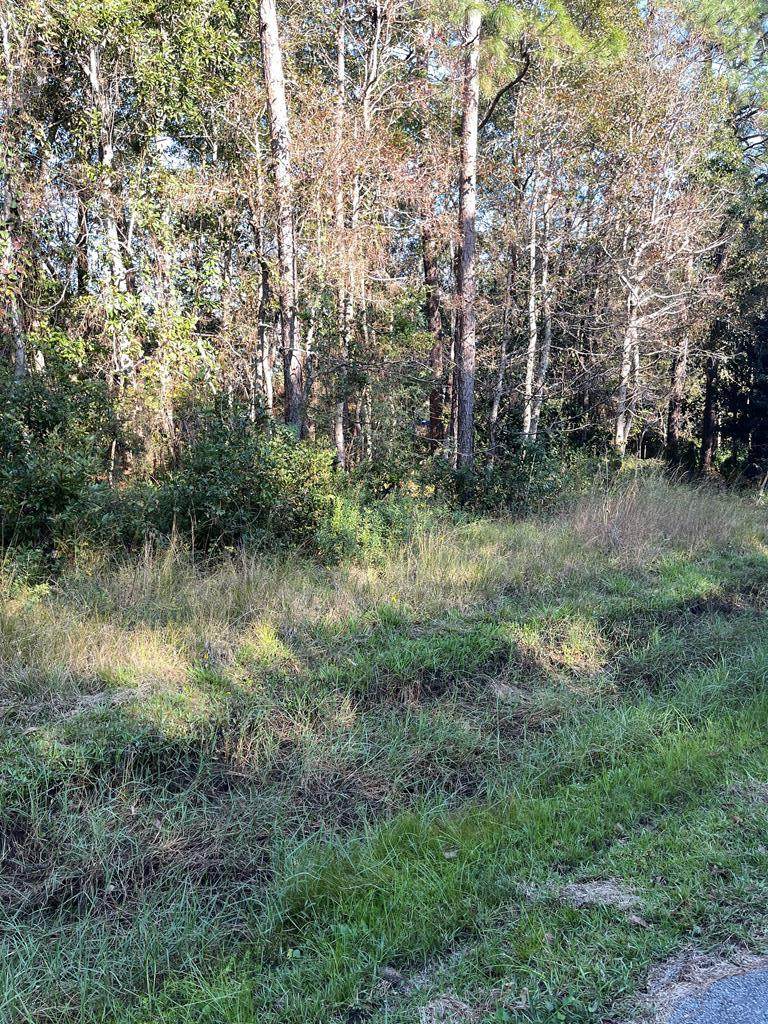 NHN Summer Oak Lane Lot 20 - Photo 1