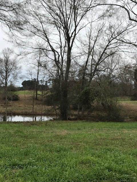 0 Whispering Lane Lot 47 - Photo 1