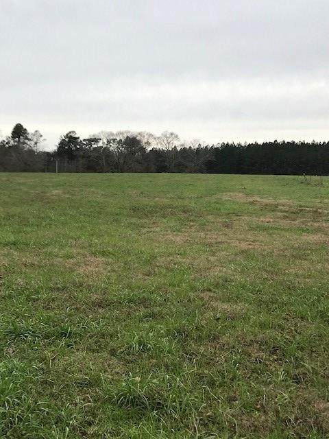 0 Whispering Lane Lot 45 - Photo 1