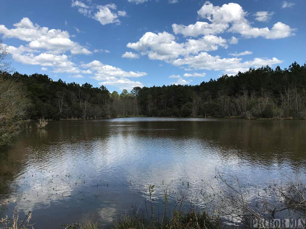 492 Old Ness Plantation Rd. - Photo 1