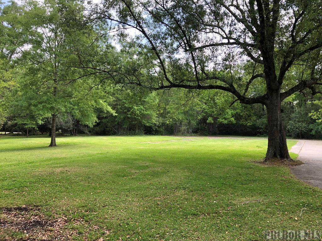 0 Twisted Oaks - Photo 1
