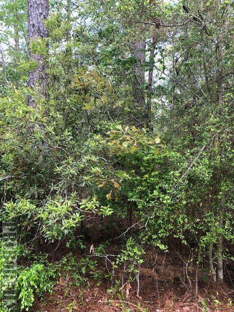 0 Birch Blvd. - Photo 1