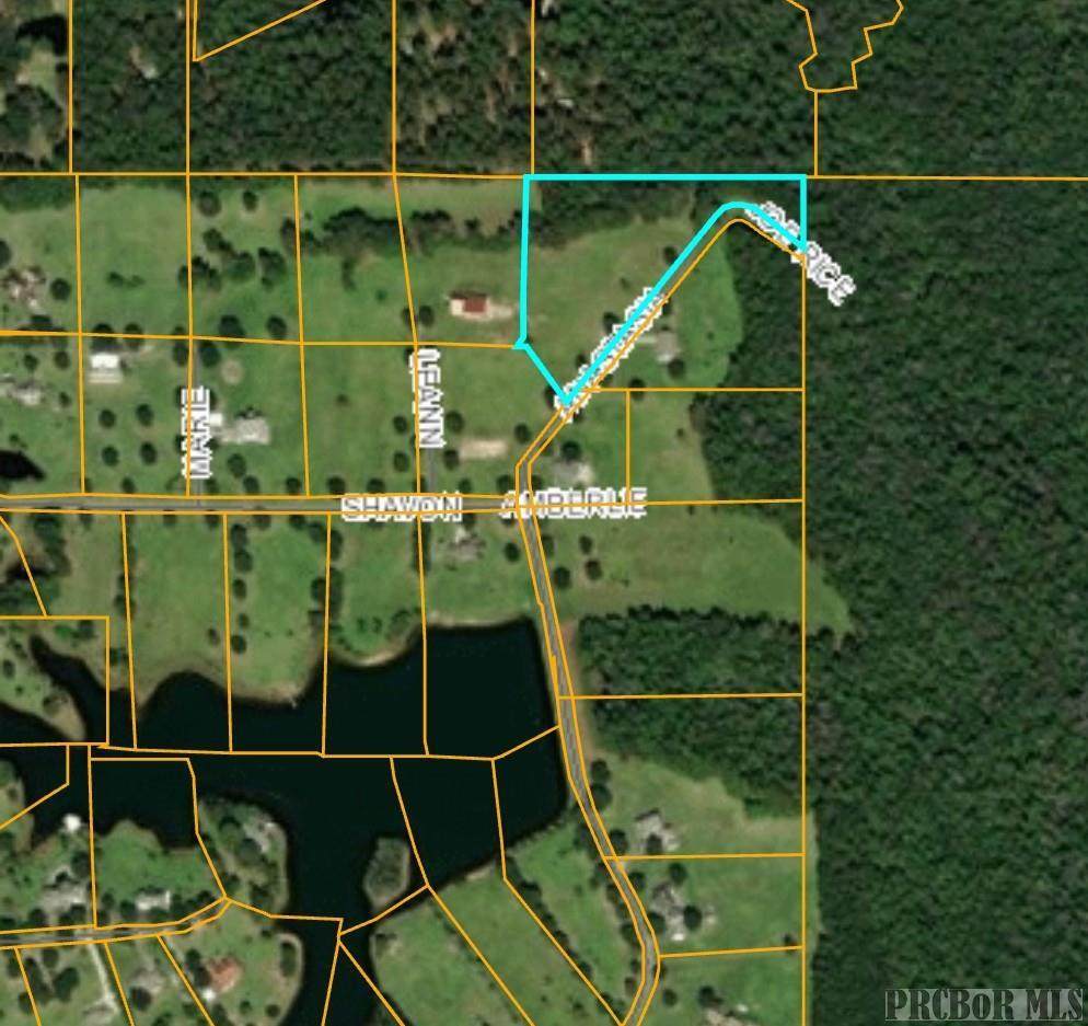tbd0 Anastasia Drive - Photo 1