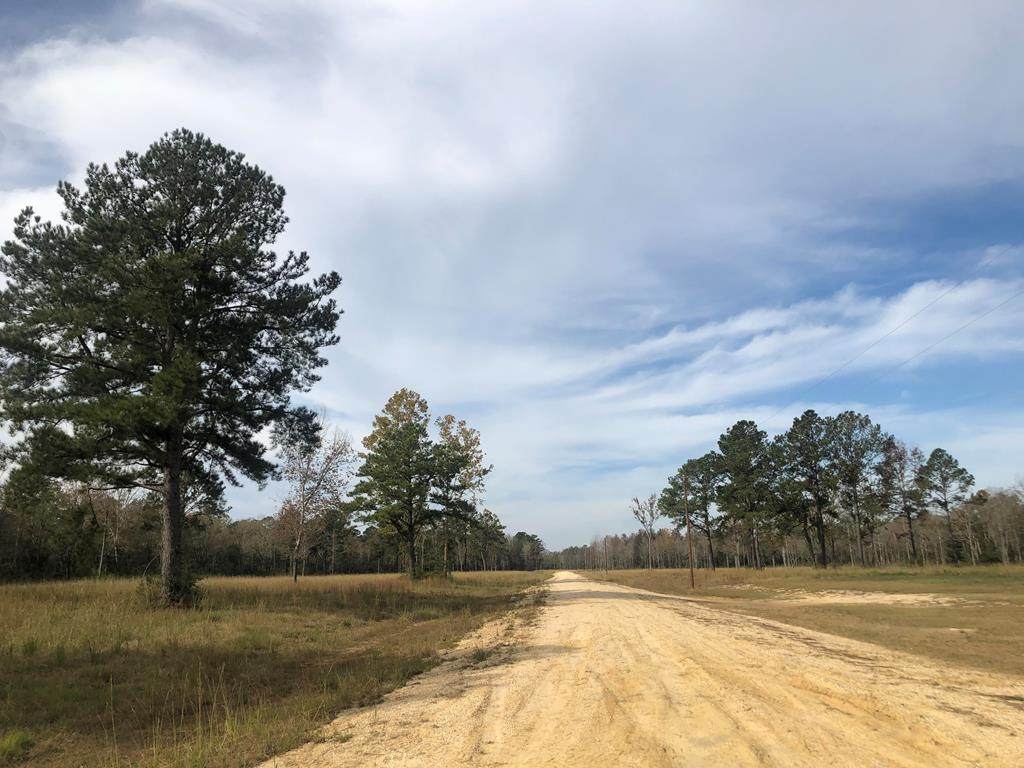 NHN Hwy 43 N - Photo 1