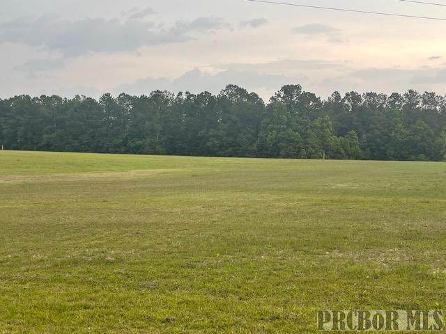 000 George Ford Rd. - Photo 1