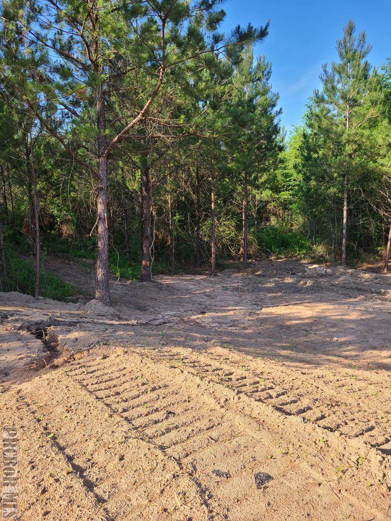 0000 Jesse Wells Rd. - Photo 1