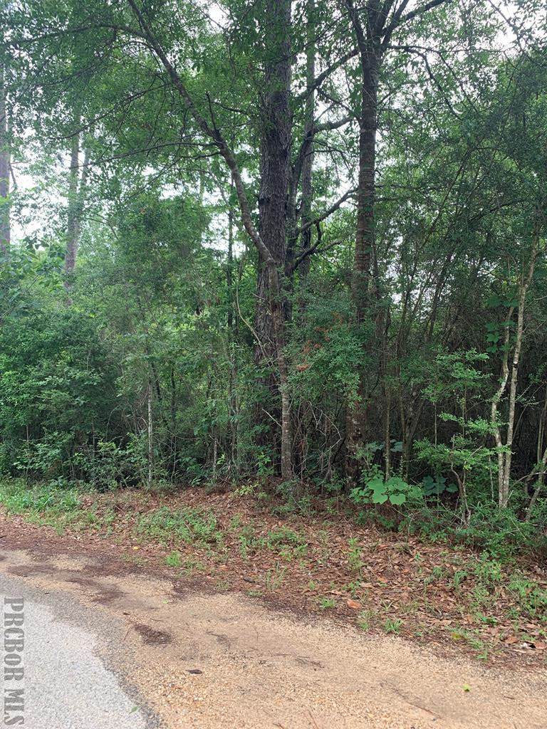 0 Magnolia Dr - Photo 1