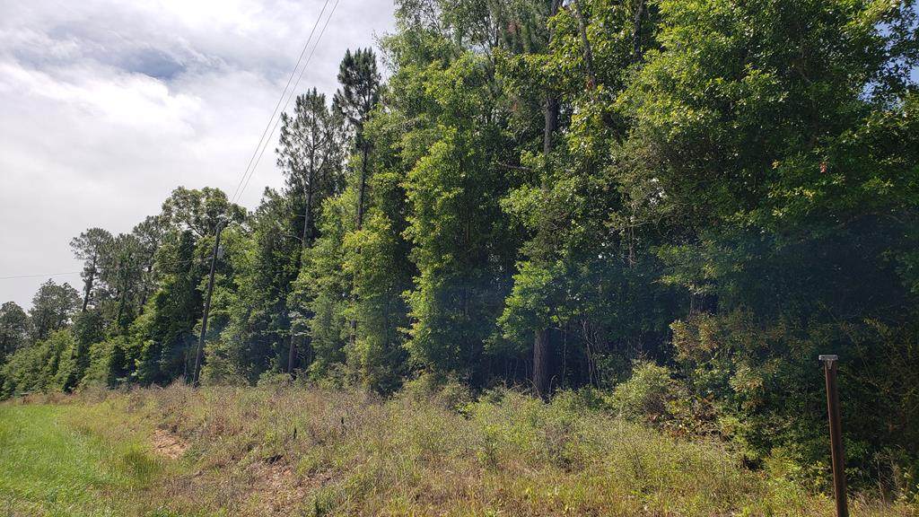 NHN Otho Davis Rd. - Photo 1