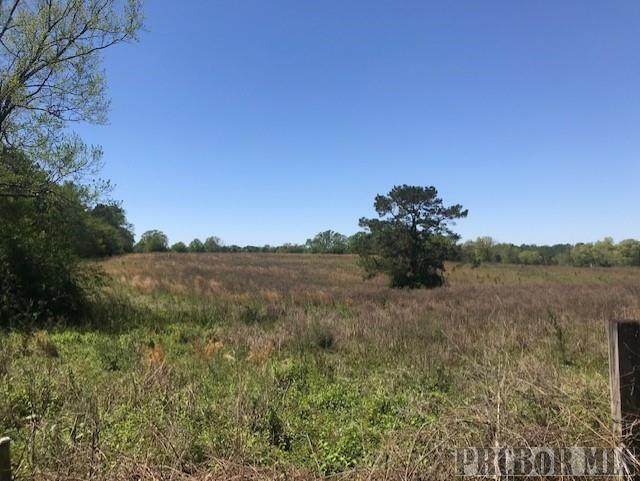 00 George Ford Rd- Tract 2 - Photo 1