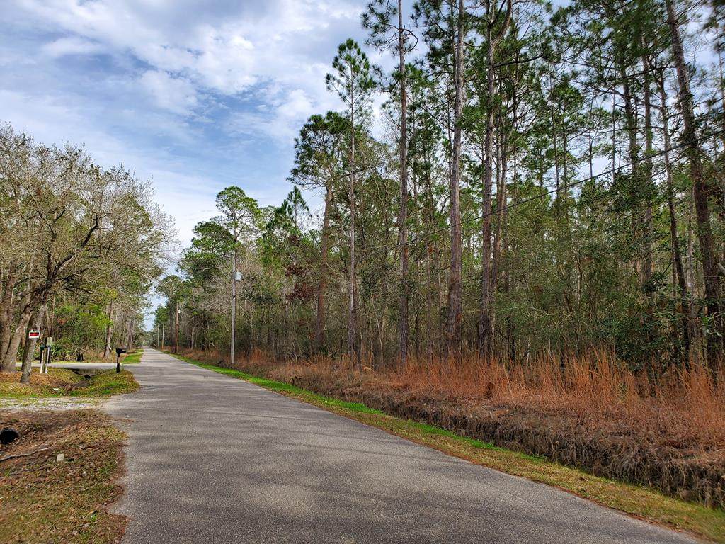 000 Cedar Dr Lots 32-37 - Photo 1