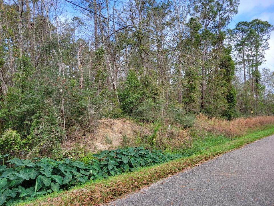 0 Copiah Street Lot #43 - Photo 1