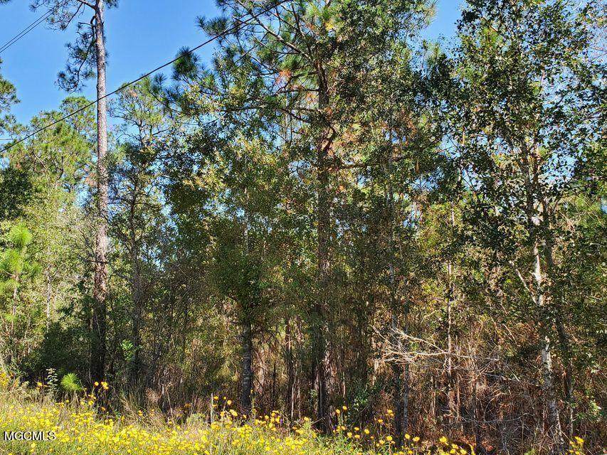 00 Tigris Street Lot 2 - 3 - Photo 1