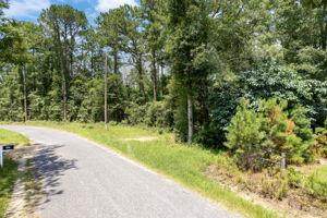 000 Slade Woodward Rd. - Photo 1