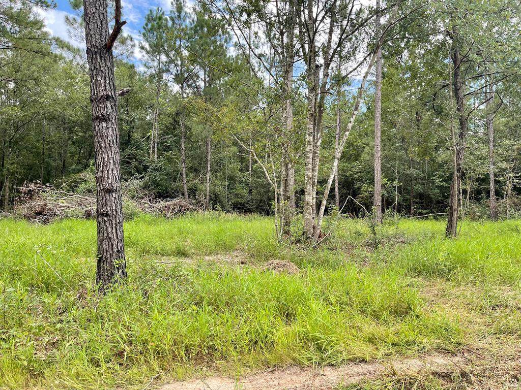 NHN Lazy Oak Lane - Photo 1
