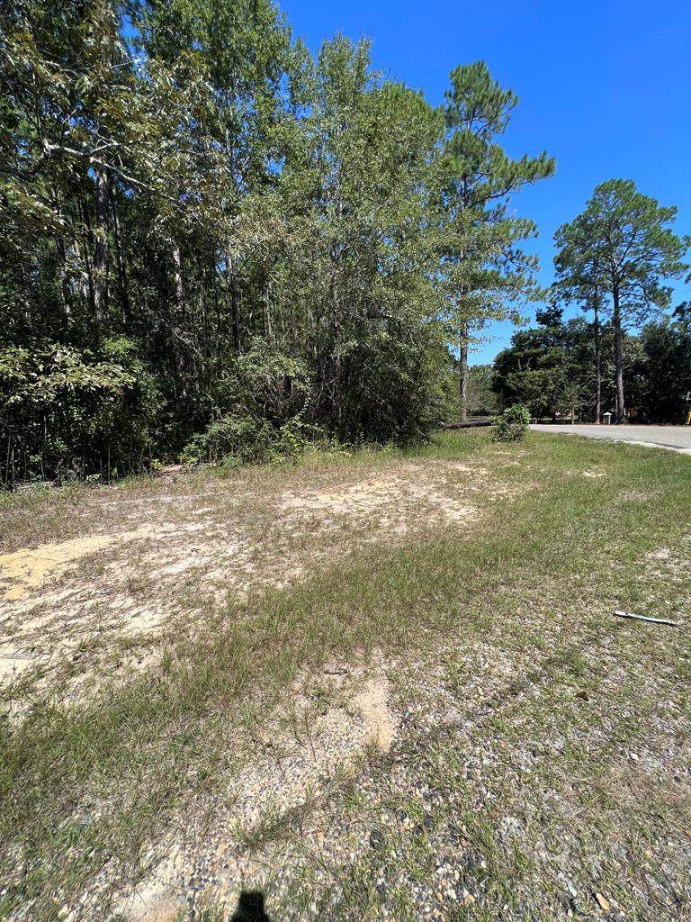 Lot70 Lake Cypress Dr - Photo 1