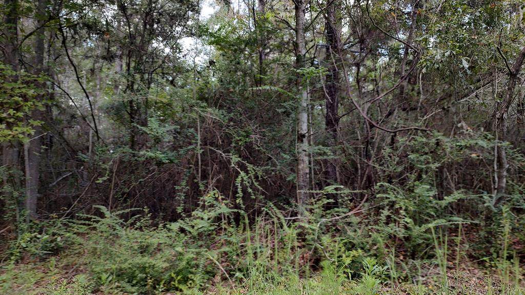 NHN Greendale Drive - Photo 1