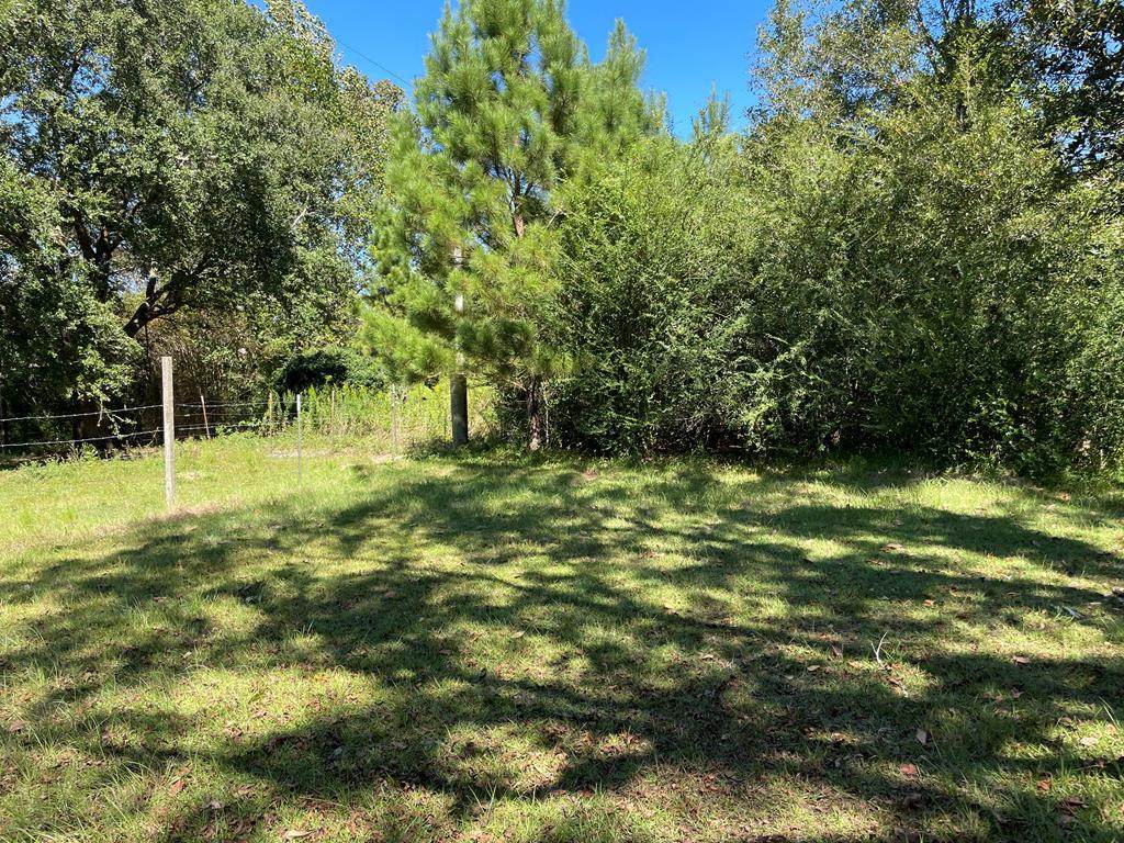 00 Sylvenia Dale Rd - Photo 1