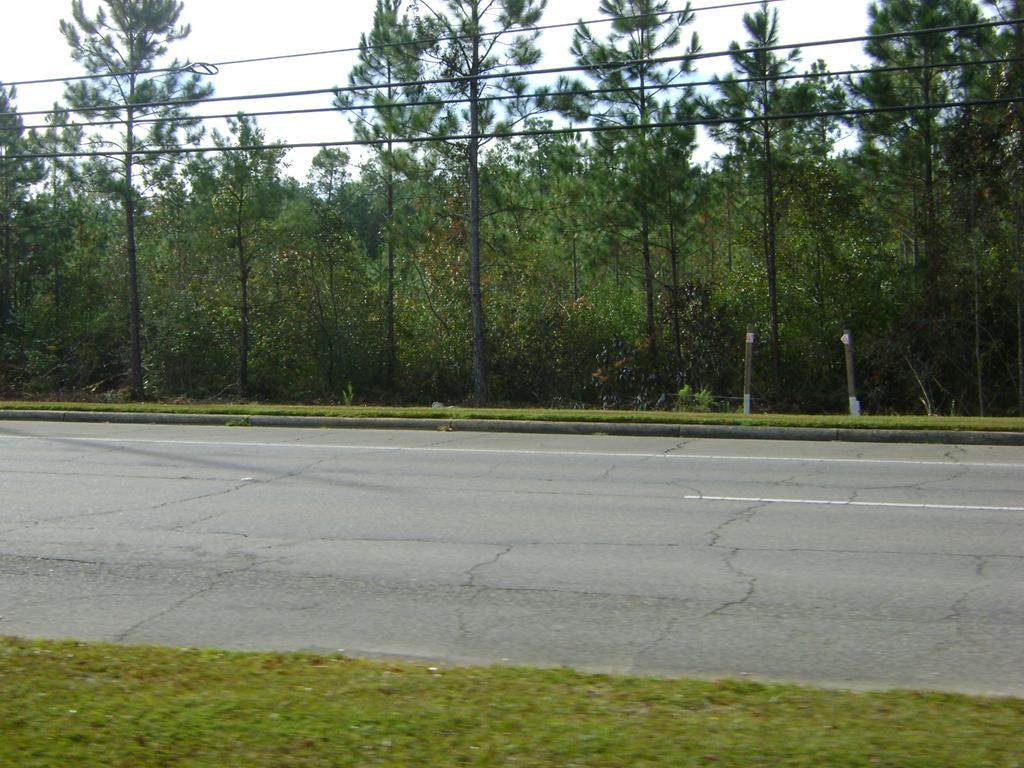 00 Orleans Boulevard - Photo 1