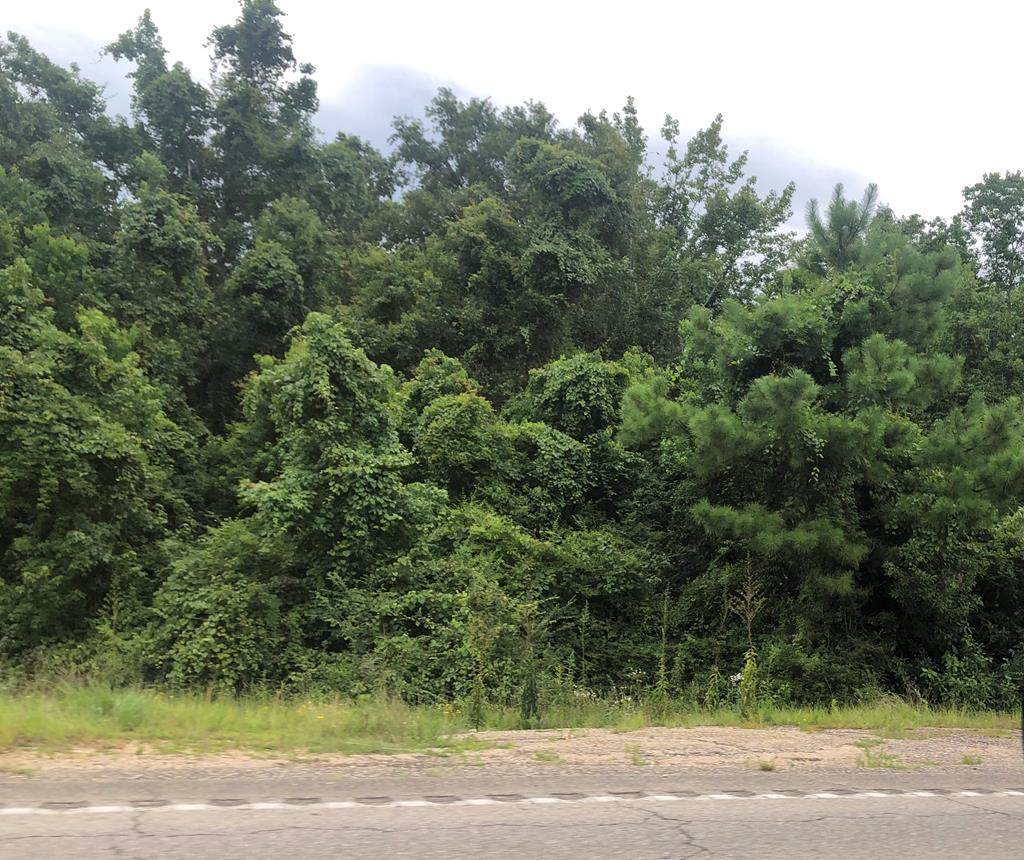 NHN Cedar Grove Ave - Photo 1