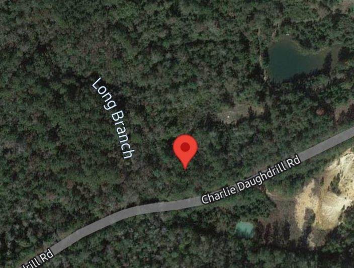 00TBD Charlie Daughdrill Rd. - Photo 1
