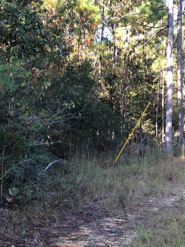 0 Chuck Penton Rd - Photo 1