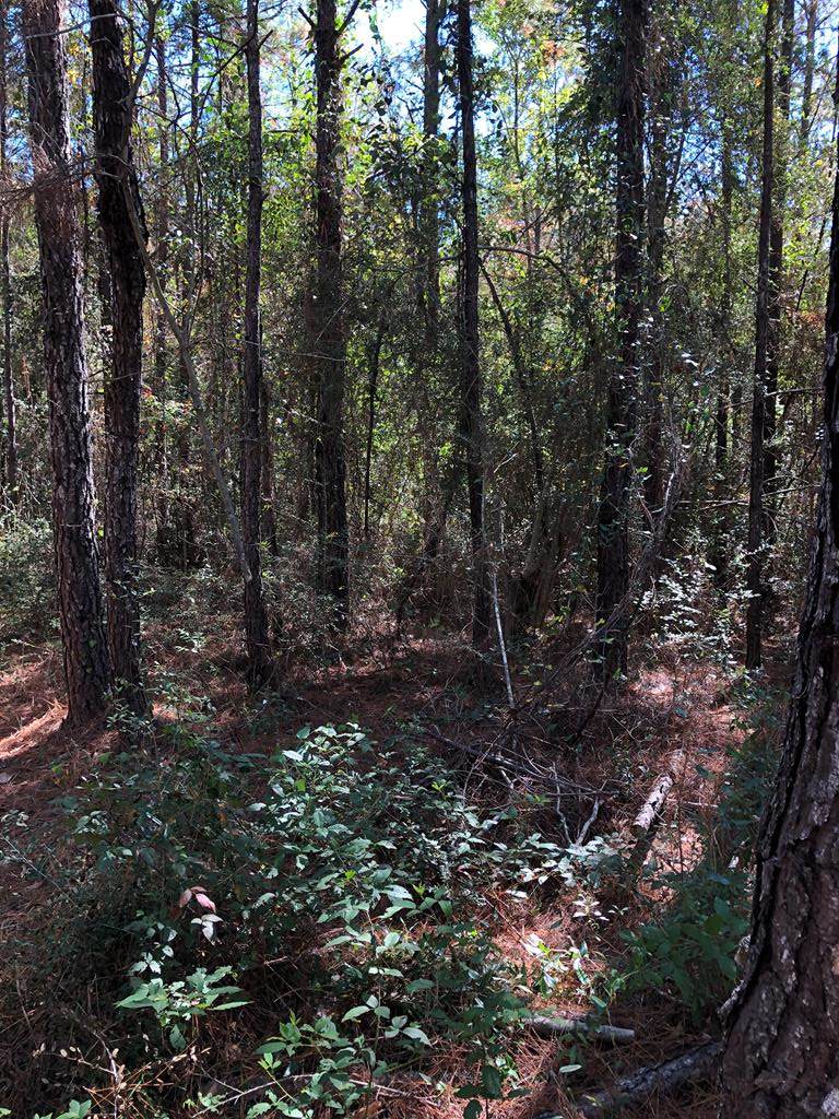 0 Hobolo Creek Rd - Photo 1