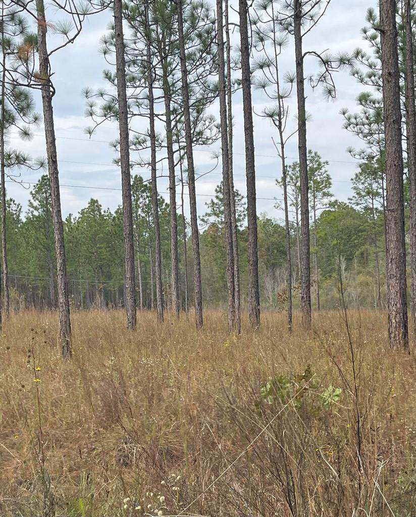 0 John Travis Road - Photo 1