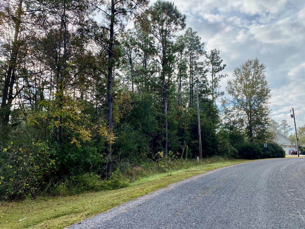 00 Pine Ridge Drive - Photo 1
