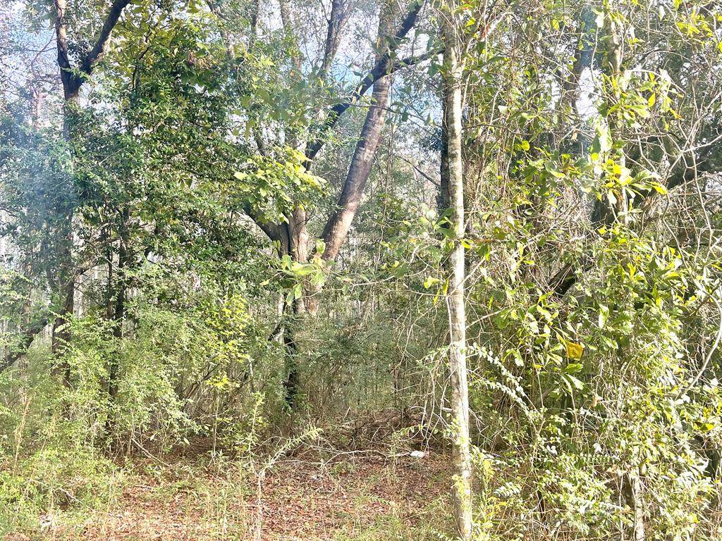 57 Mars Island Rd - Photo 1